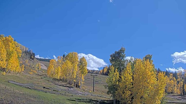 Webcam Telluride: Hoot Brown