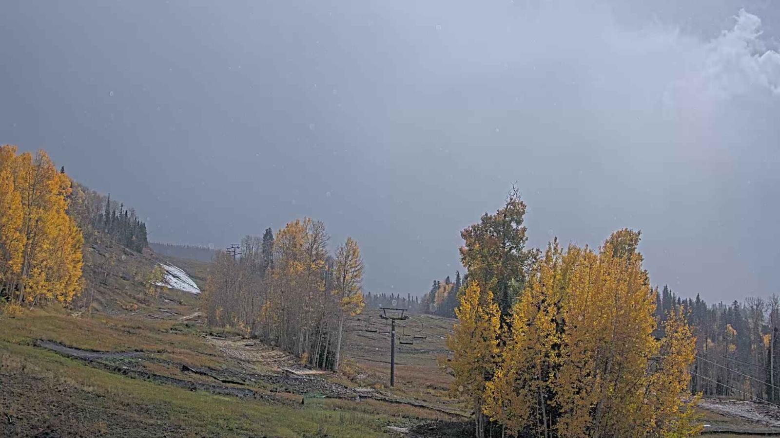 Webcam Telluride: Hoot Brown