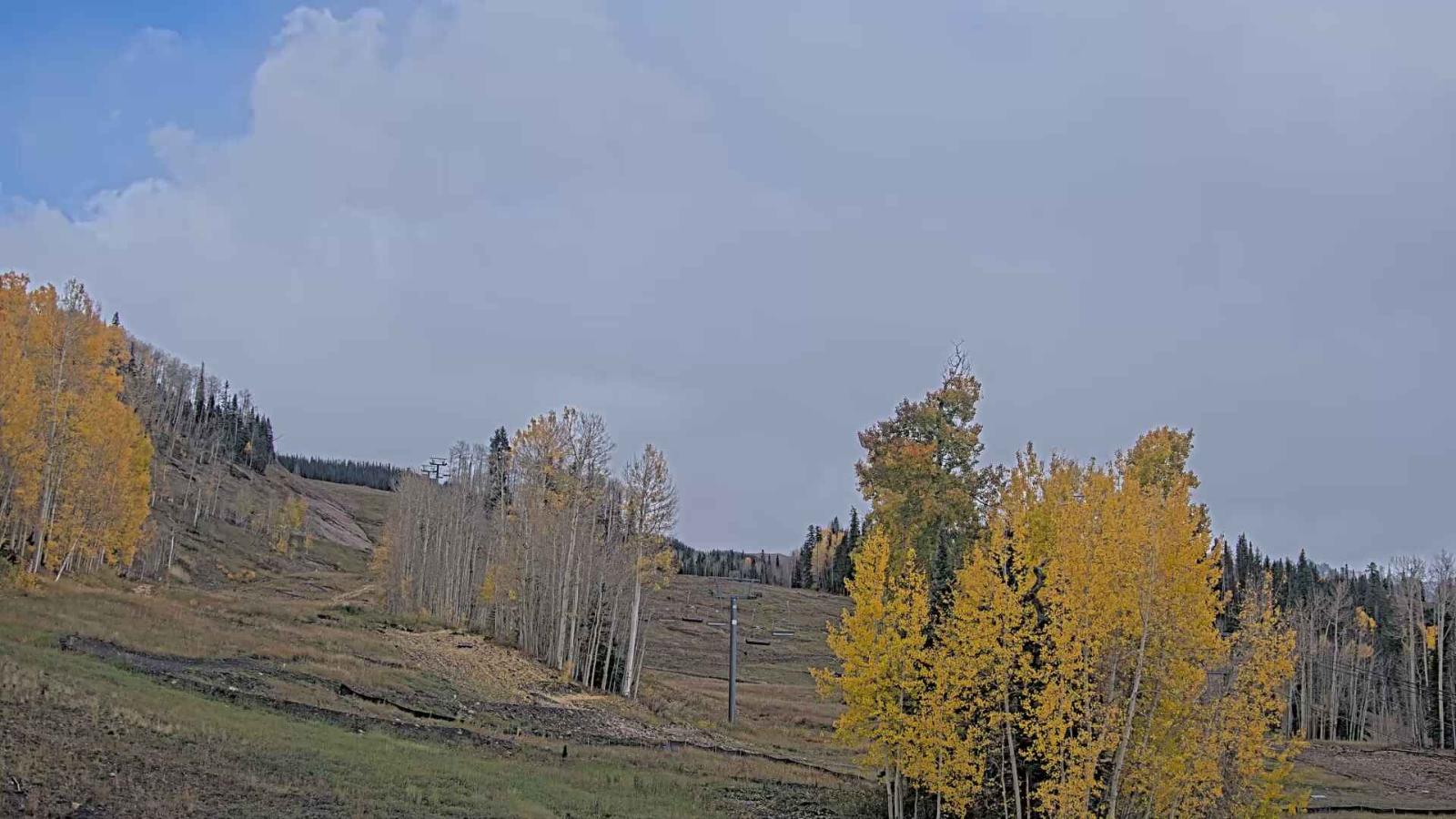 Webcam Telluride: Hoot Brown