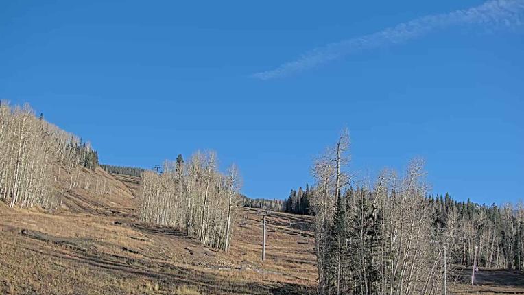 Webcam Telluride: Hoot Brown