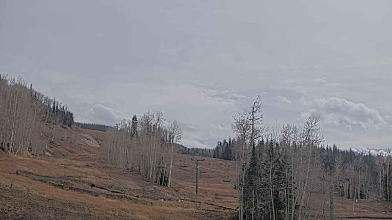 Webcam Telluride: Hoot Brown