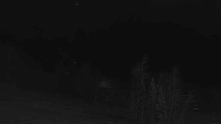 Webcam Telluride: Hoot Brown