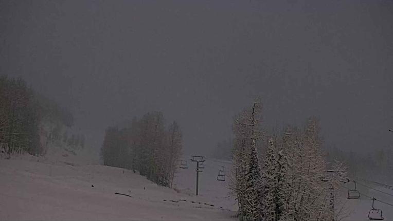 Webcam Telluride: Hoot Brown