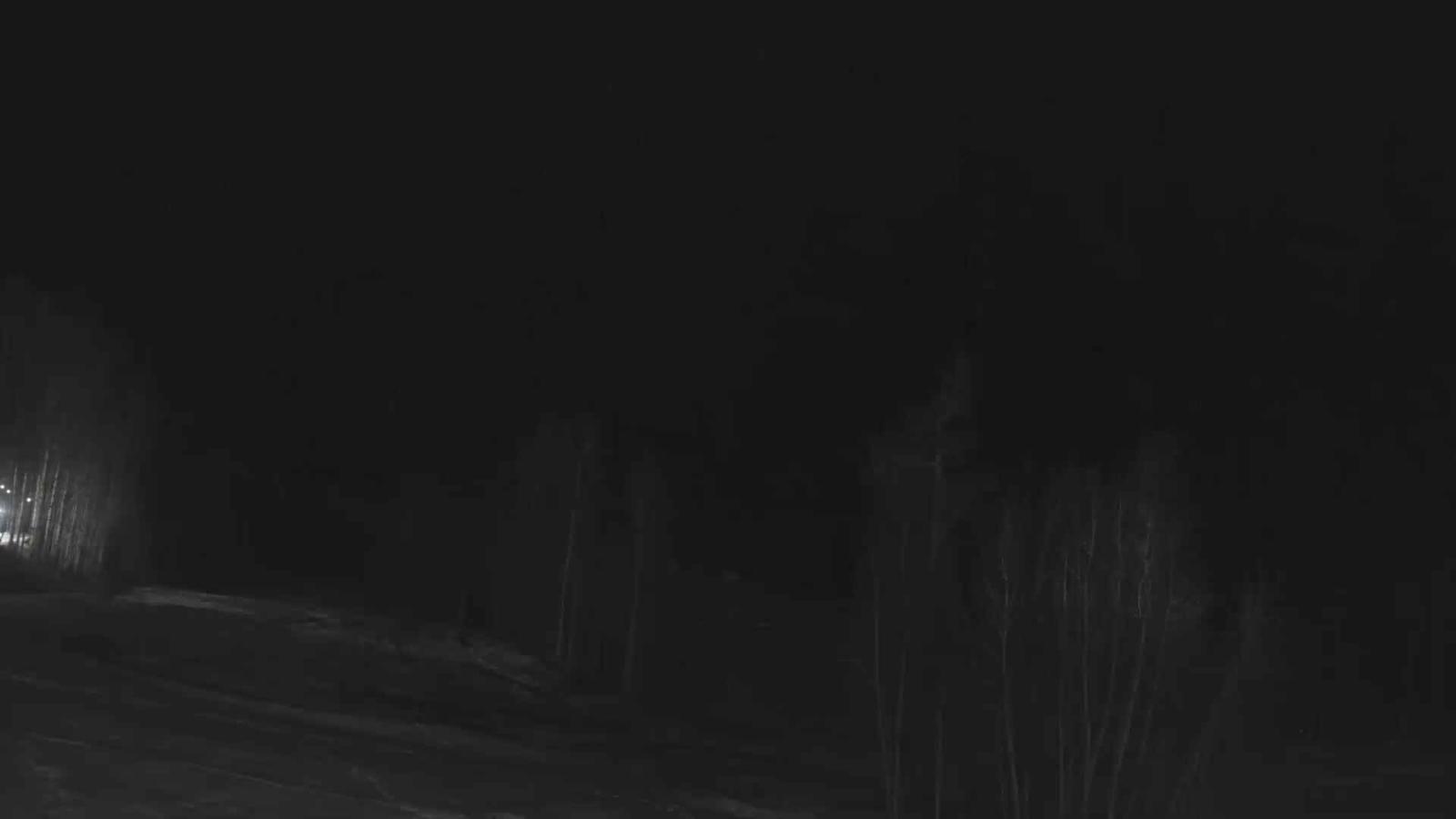 Webcam Telluride: Hoot Brown