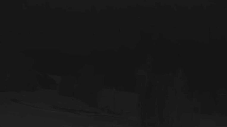 Webcam Telluride: Hoot Brown