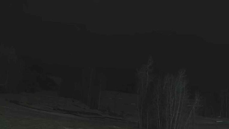 Webcam Telluride: Hoot Brown