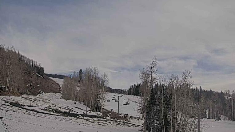 Webcam Telluride: Hoot Brown