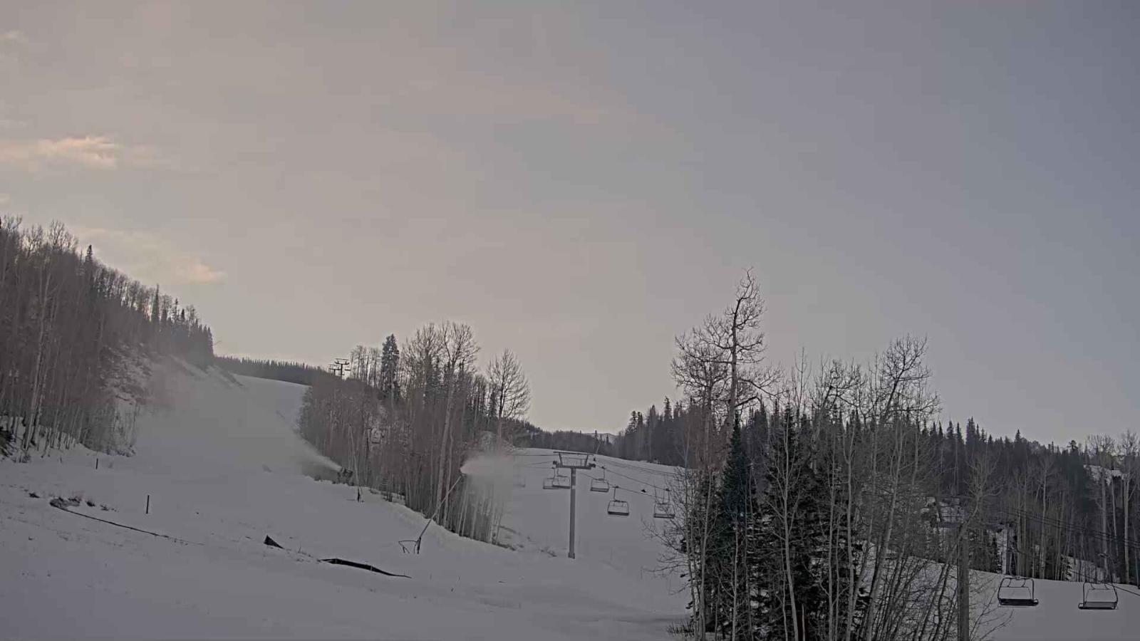 Webcam Telluride: Hoot Brown