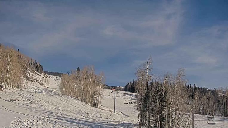 Webcam Telluride: Hoot Brown