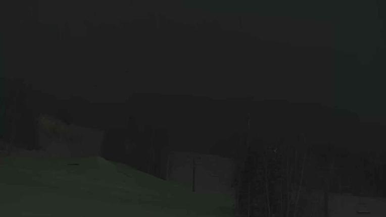 Webcam Telluride: Hoot Brown