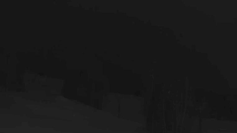 Webcam Telluride: Hoot Brown