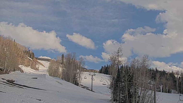 Webcam Telluride: Hoot Brown