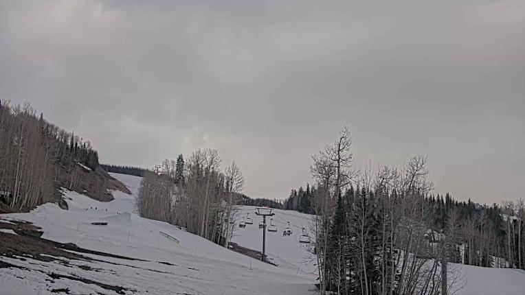 Webcam Telluride: Hoot Brown