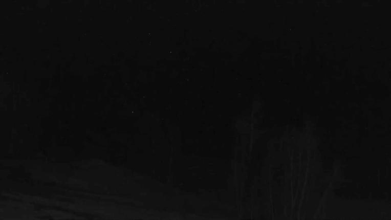 Webcam Telluride: Hoot Brown