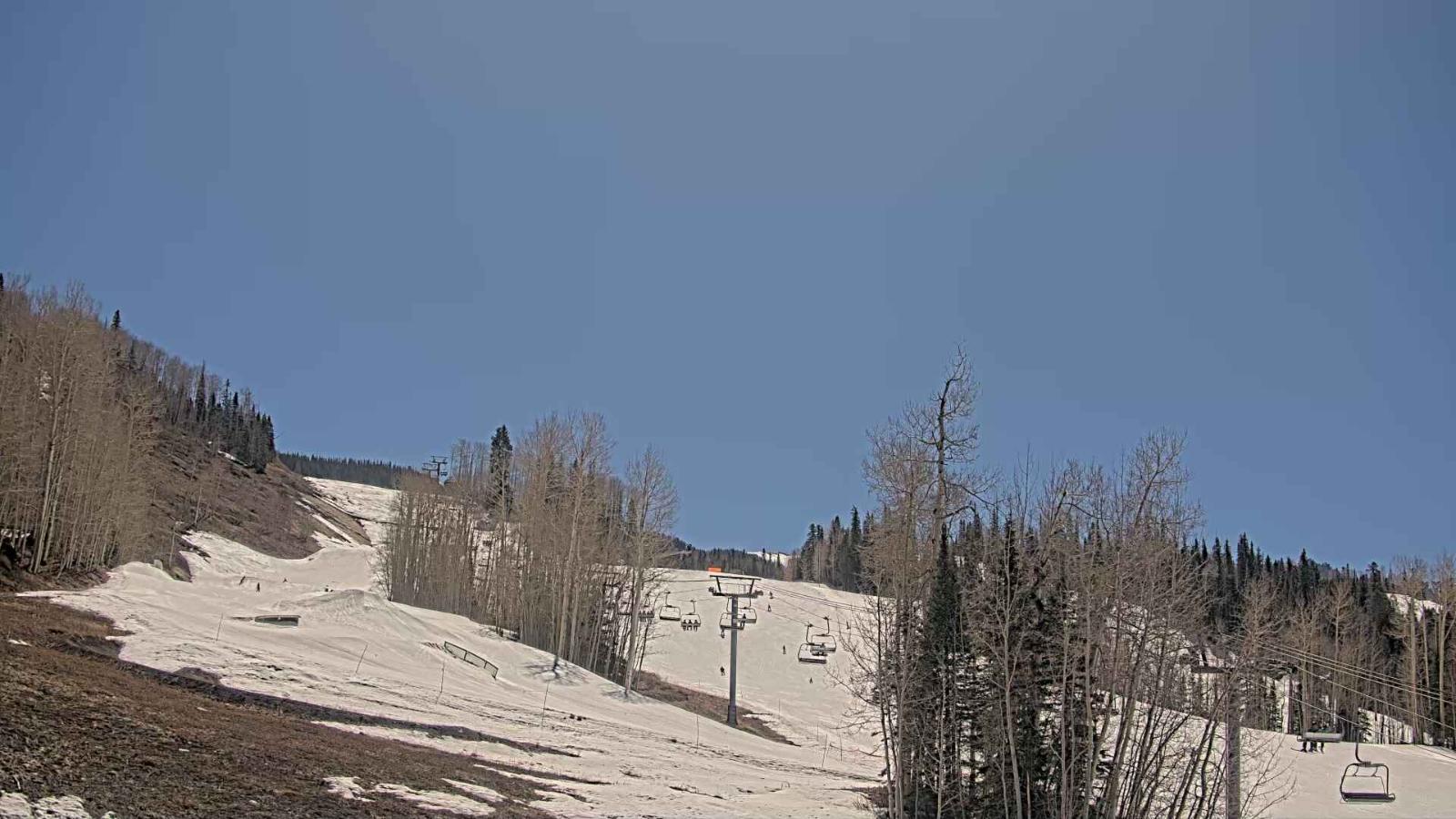 Webcam Telluride: Hoot Brown
