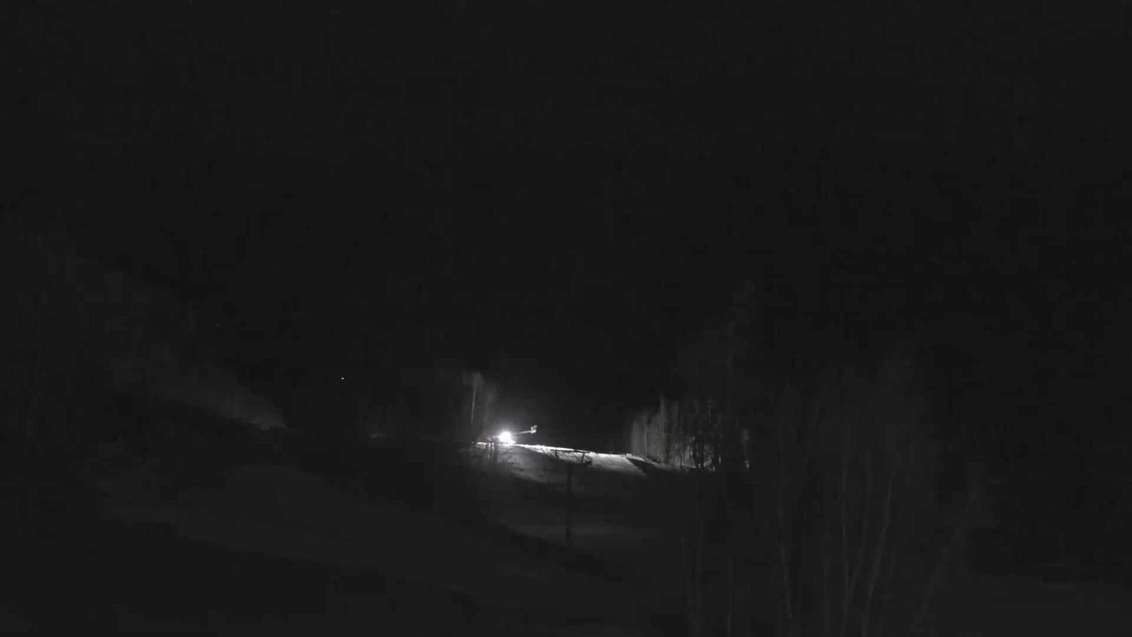 Webcam Telluride: Hoot Brown