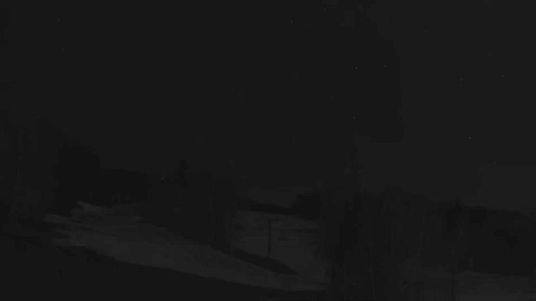 Webcam Telluride: Hoot Brown