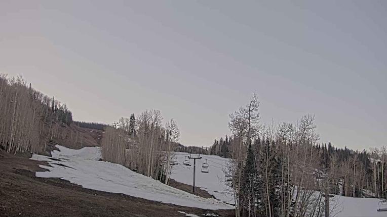Webcam Telluride: Hoot Brown