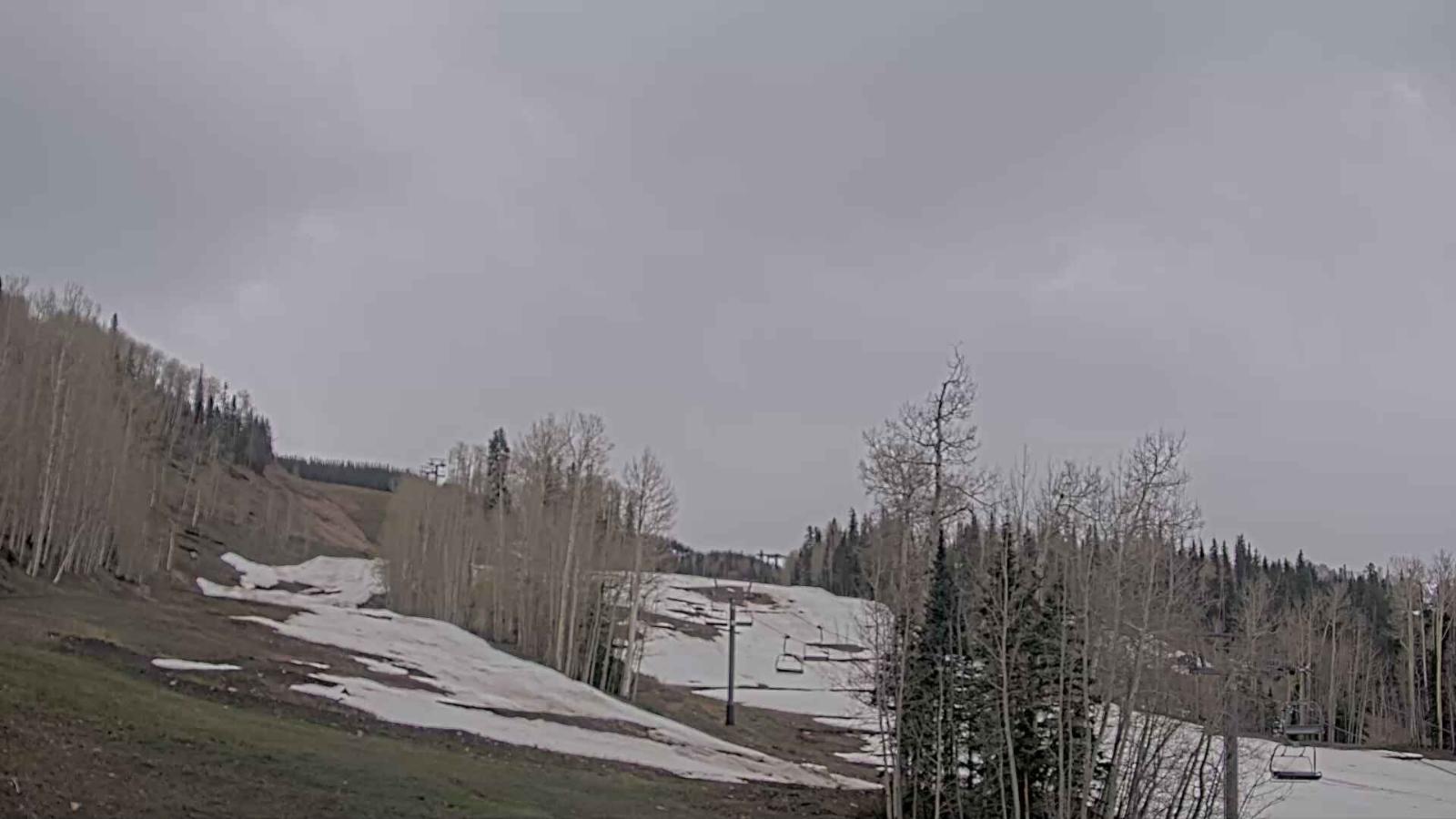 Webcam Telluride: Hoot Brown