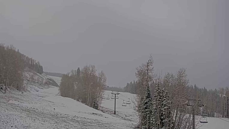 Webcam Telluride: Hoot Brown