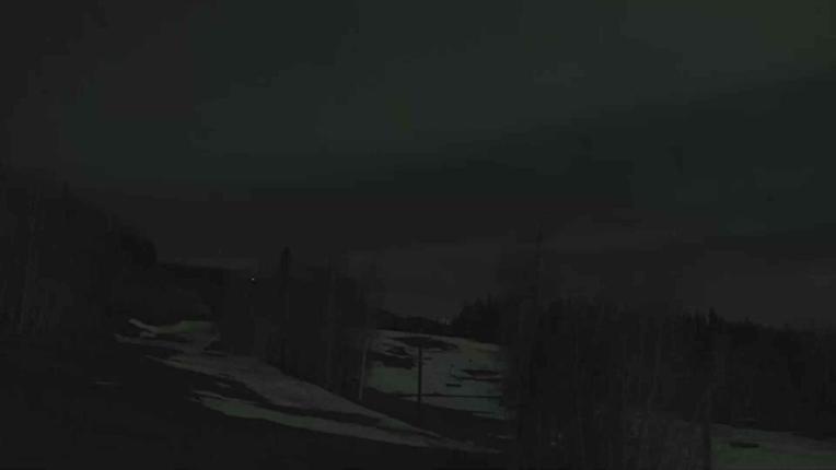 Webcam Telluride: Hoot Brown