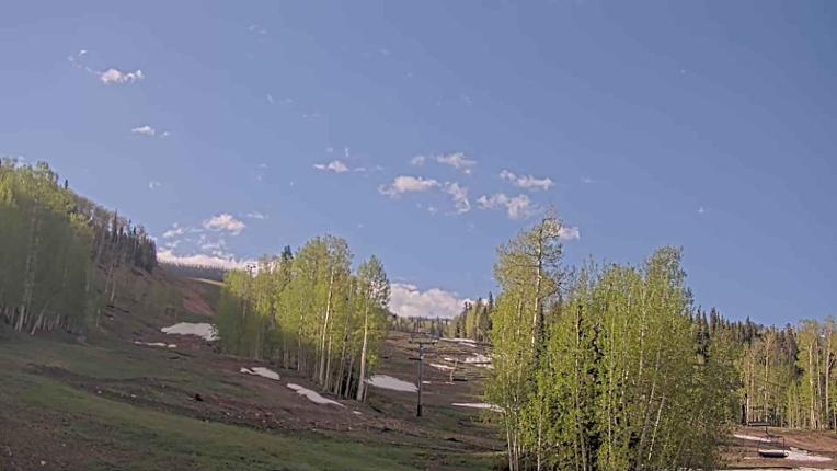 Webcam Telluride: Hoot Brown