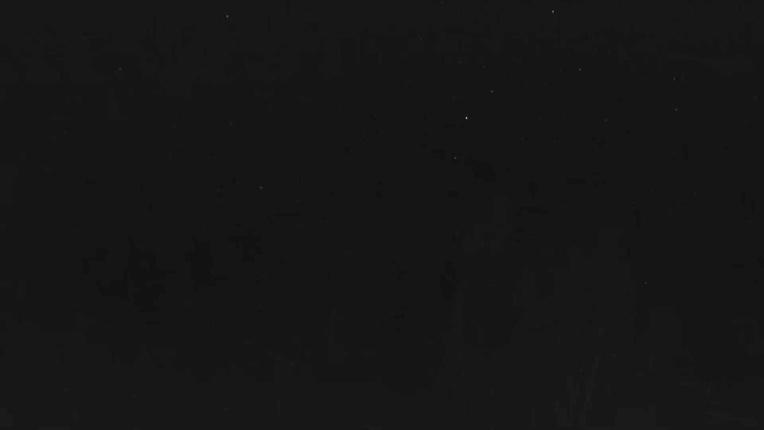 Webcam Telluride: Hoot Brown