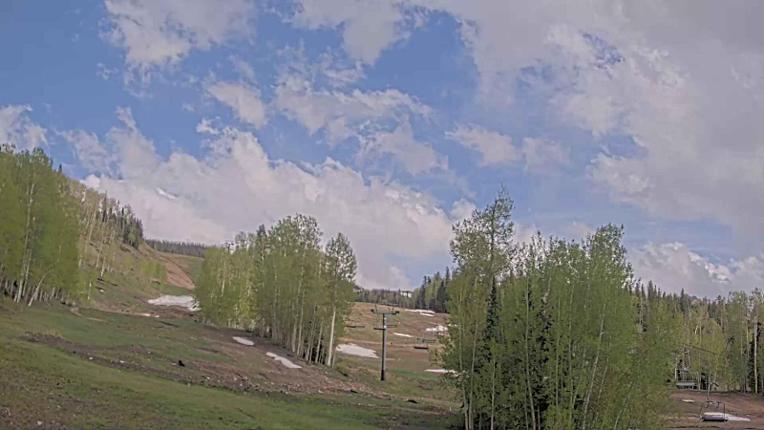Webcam Telluride: Hoot Brown