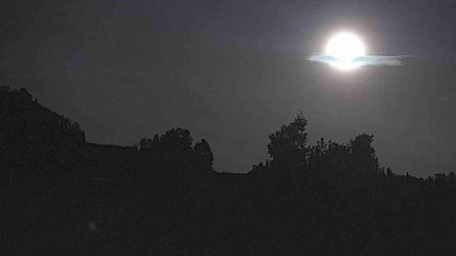 Webcam Telluride: Hoot Brown