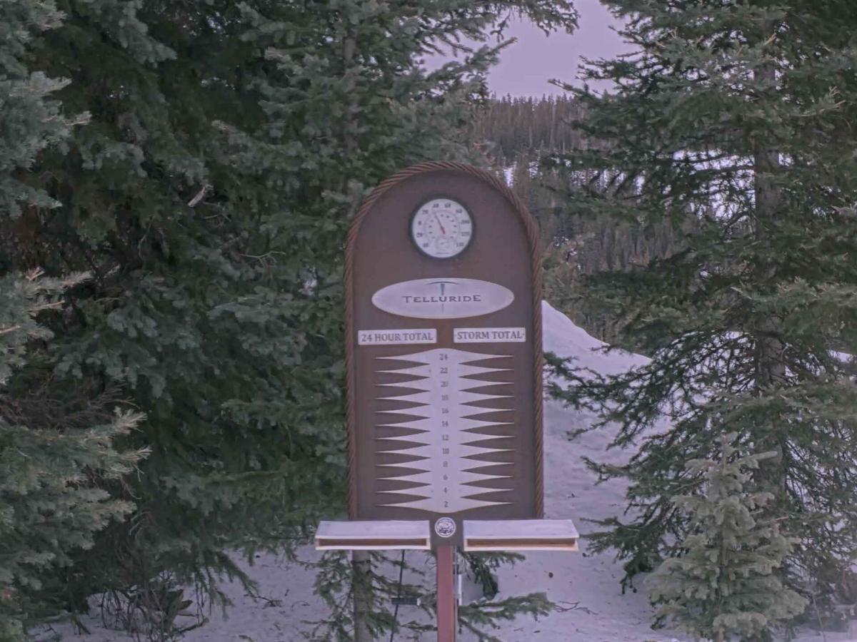 Webcam Telluride: Prospect Powcam