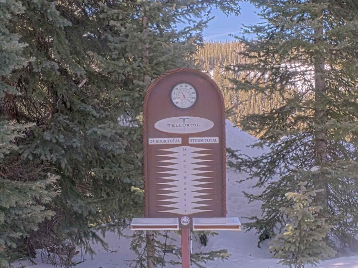 Webcam Telluride: Prospect Powcam