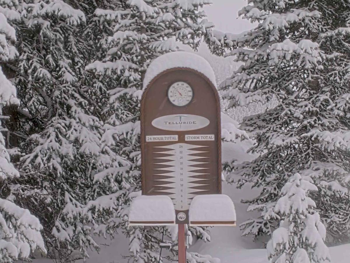 Webcam Telluride: Prospect Powcam