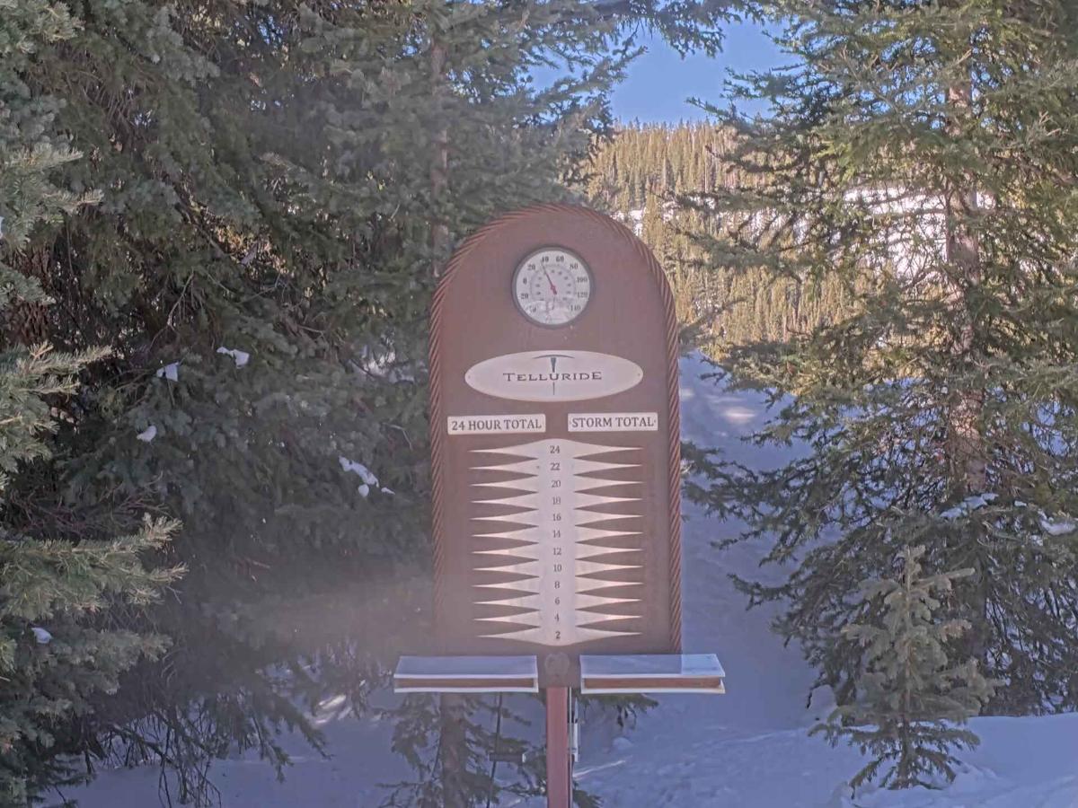 Webcam Telluride: Prospect Powcam