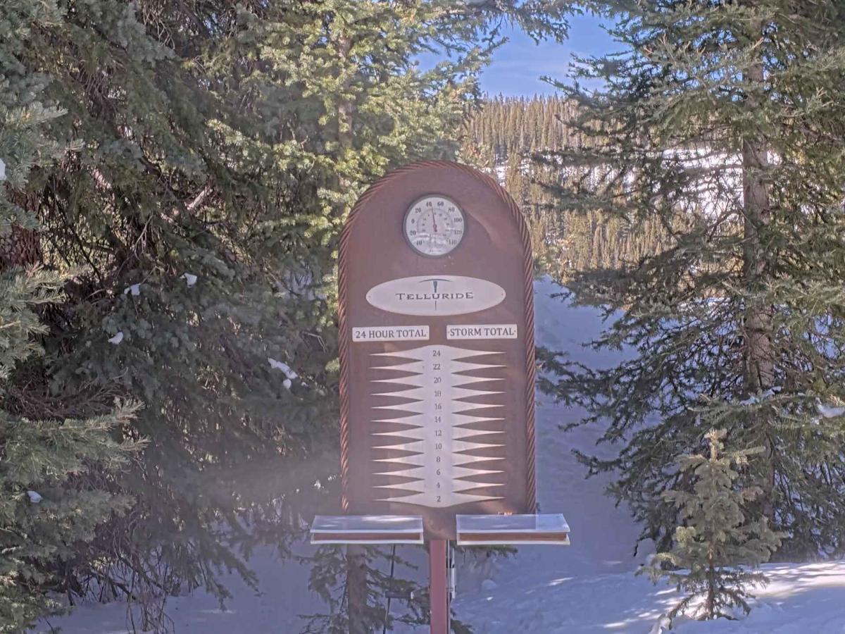 Webcam Telluride: Prospect Powcam