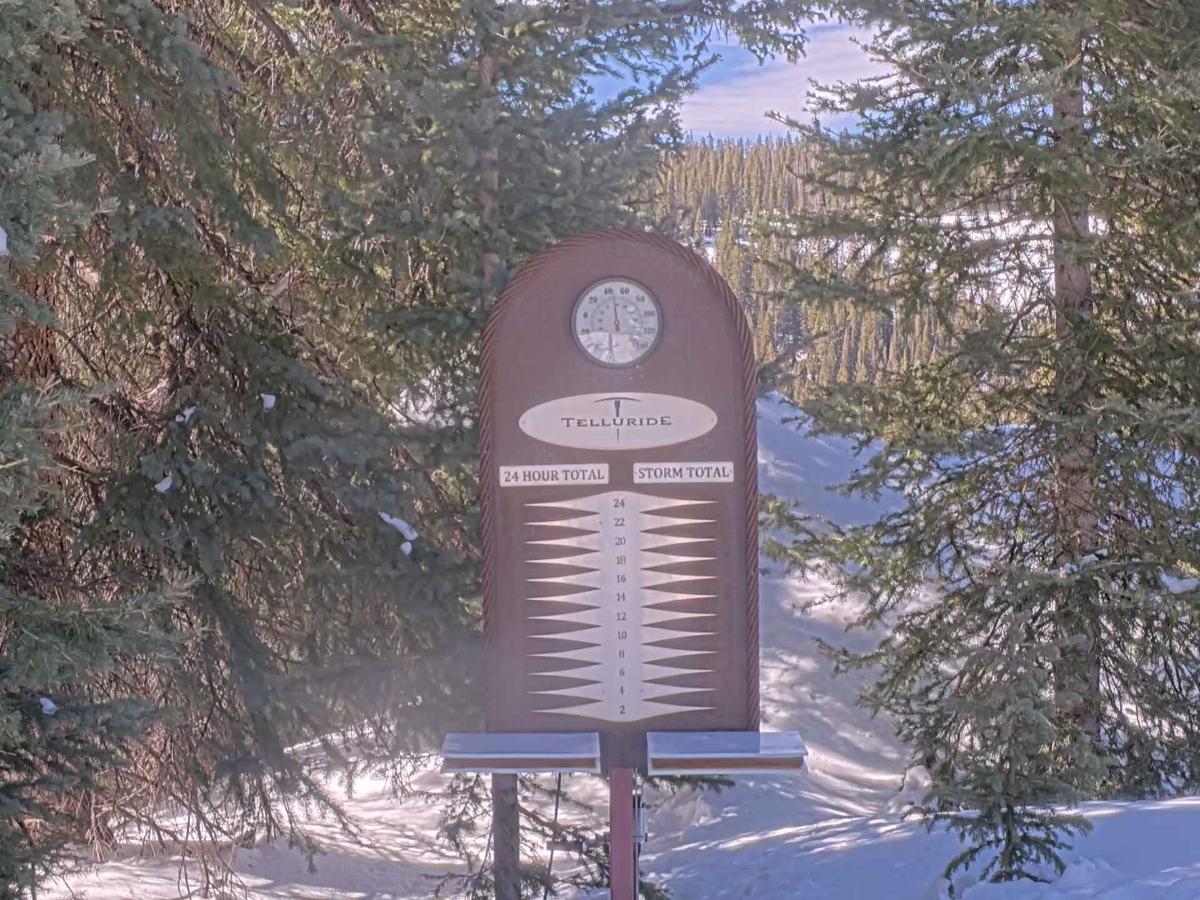 Webcam Telluride: Prospect Powcam