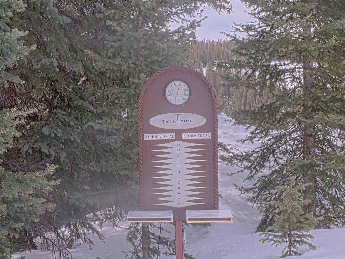 Webcam Telluride: Prospect Powcam