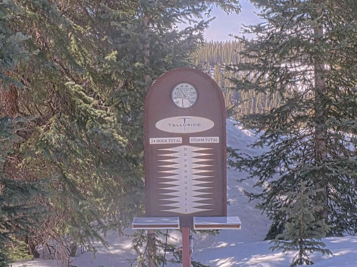 Webcam Telluride: Prospect Powcam