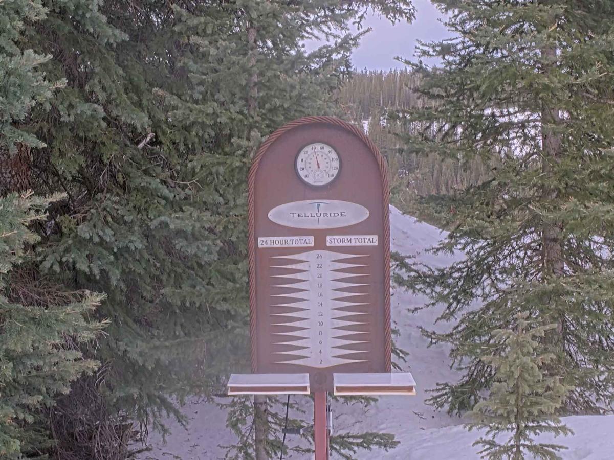 Webcam Telluride: Prospect Powcam