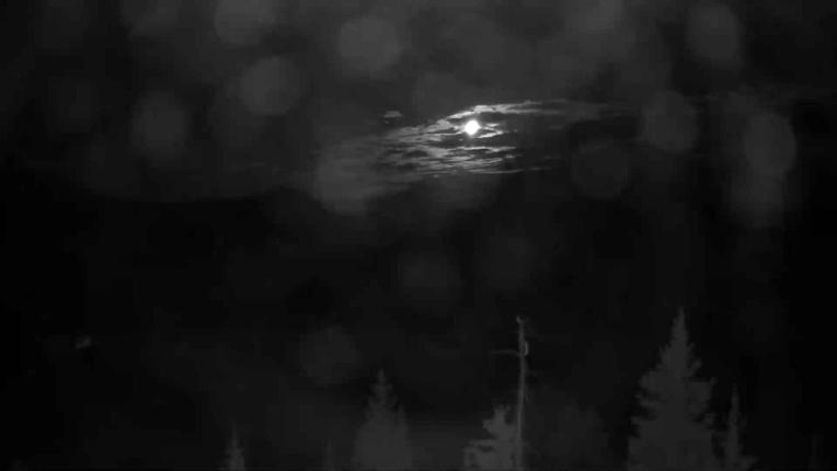 Webcam Telluride: See Forever