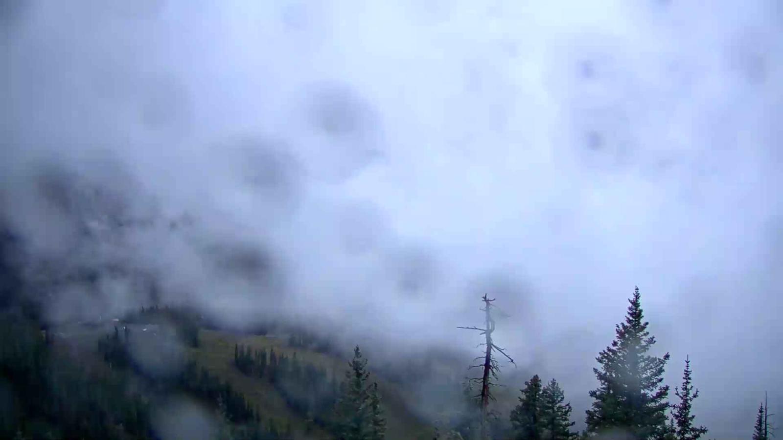 Webcam Telluride: See Forever