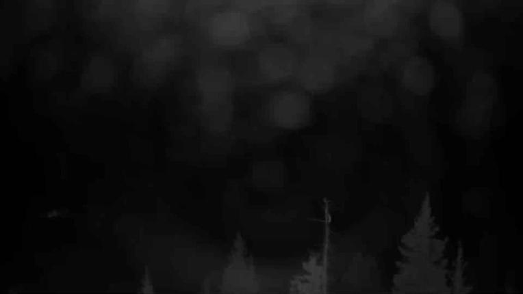 Webcam Telluride: See Forever