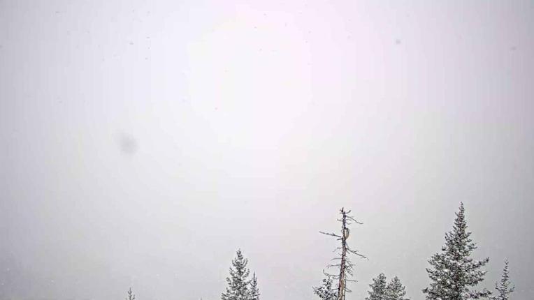 Webcam Telluride: See Forever