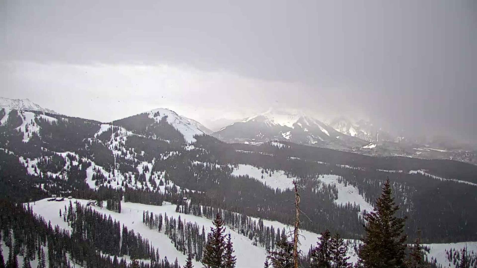 Webcam Telluride: See Forever