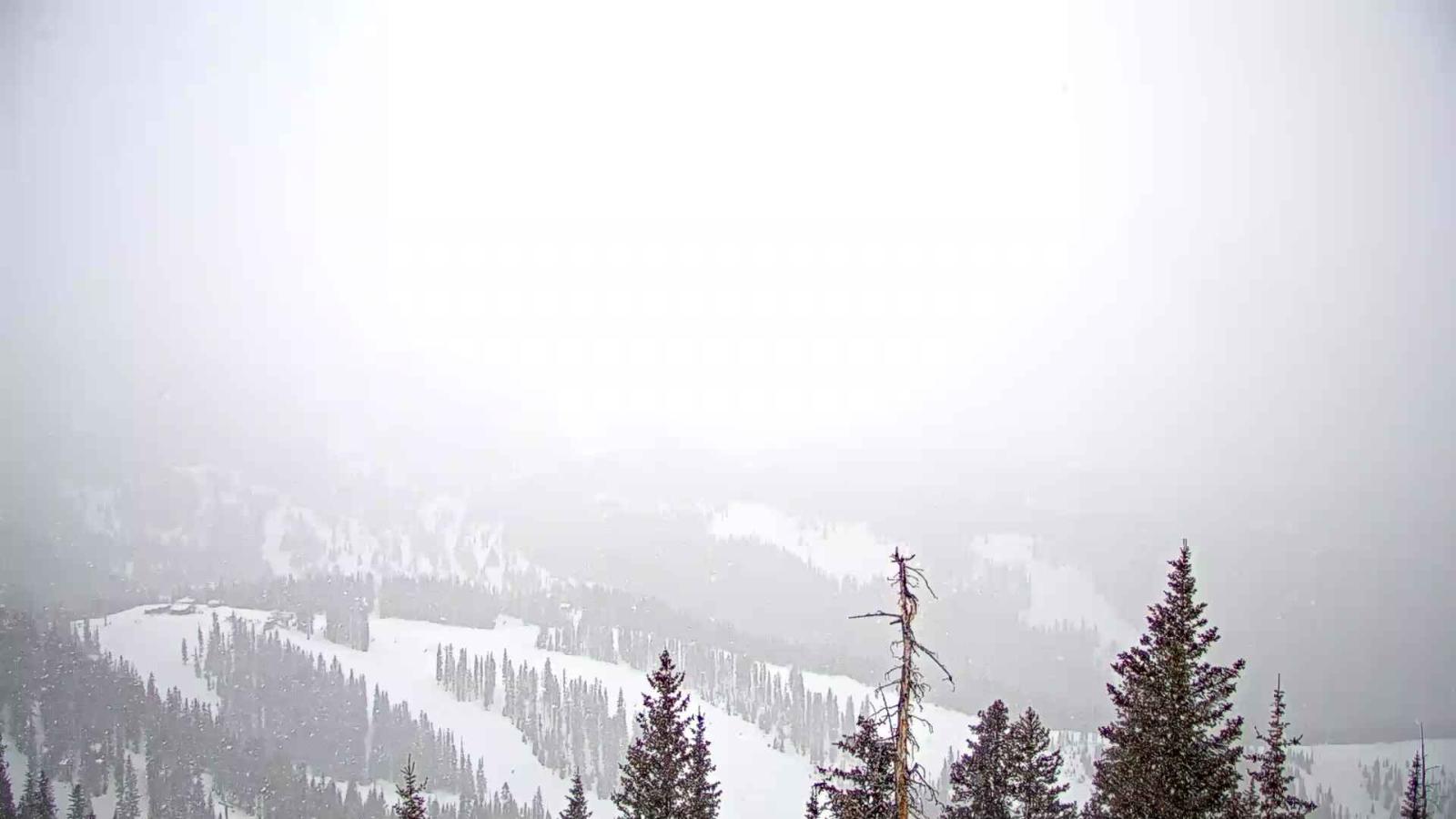 Webcam Telluride: See Forever