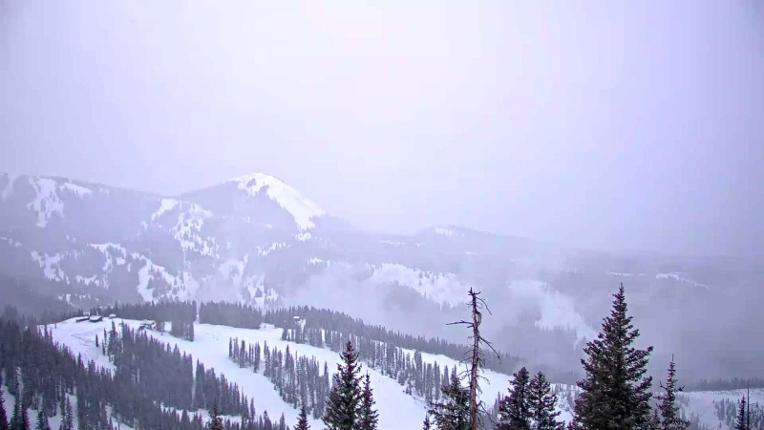 Webcam Telluride: See Forever
