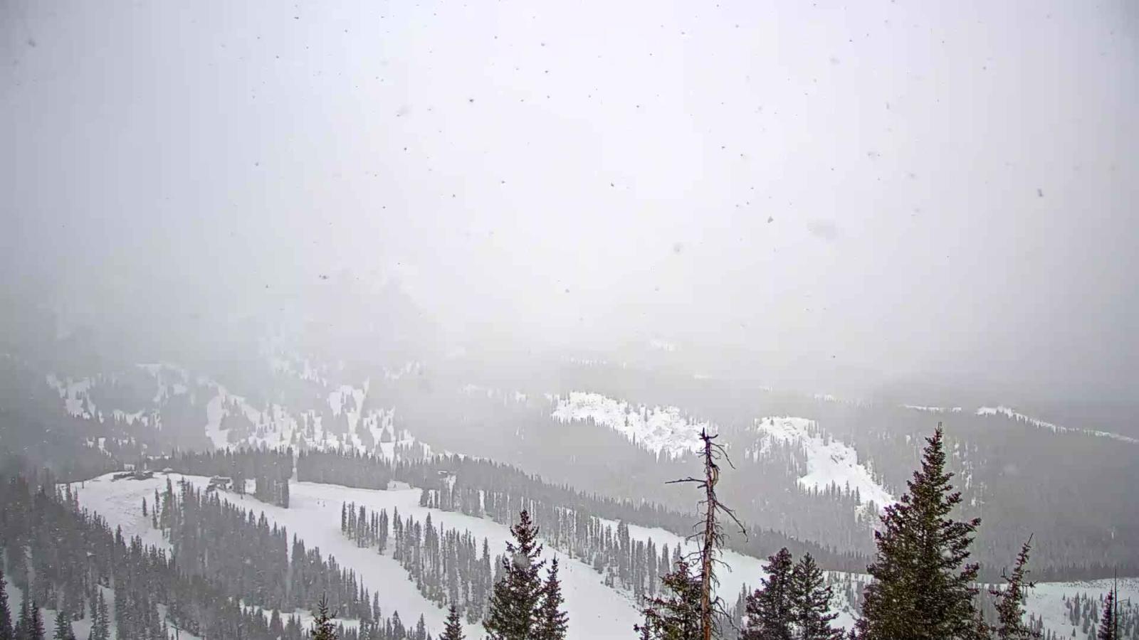 Webcam Telluride: See Forever