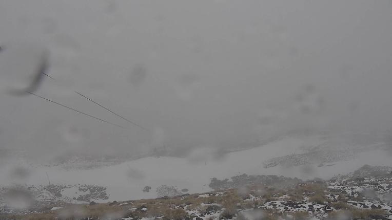 Webcam The Remarkables: Curvey basin