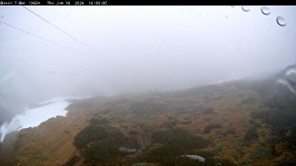 Thredbo: Basin T-Bar (thredbo.com.au)