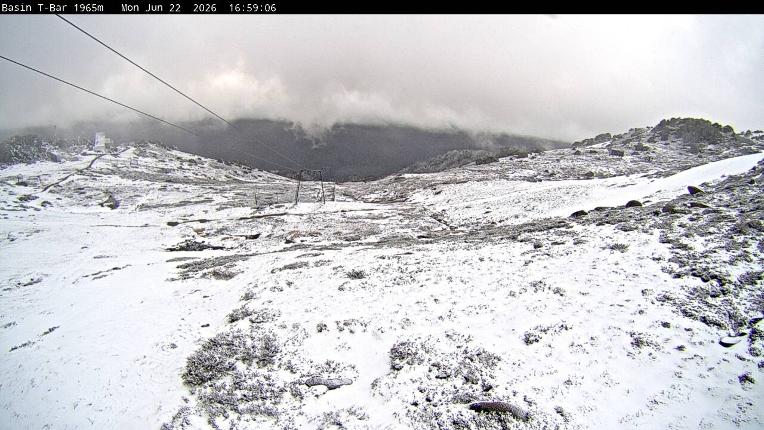 Webcam Thredbo: Basin T-Bar