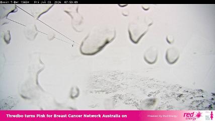 Thredbo: Basin T-Bar (thredbo.com.au)